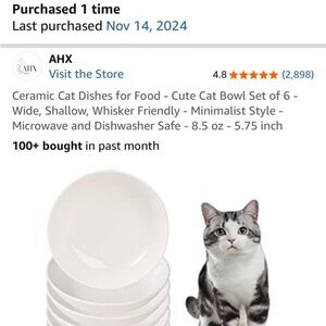 Ceramic Cat Dishes for Food - Cute Cat Bowl Set of 6 - white